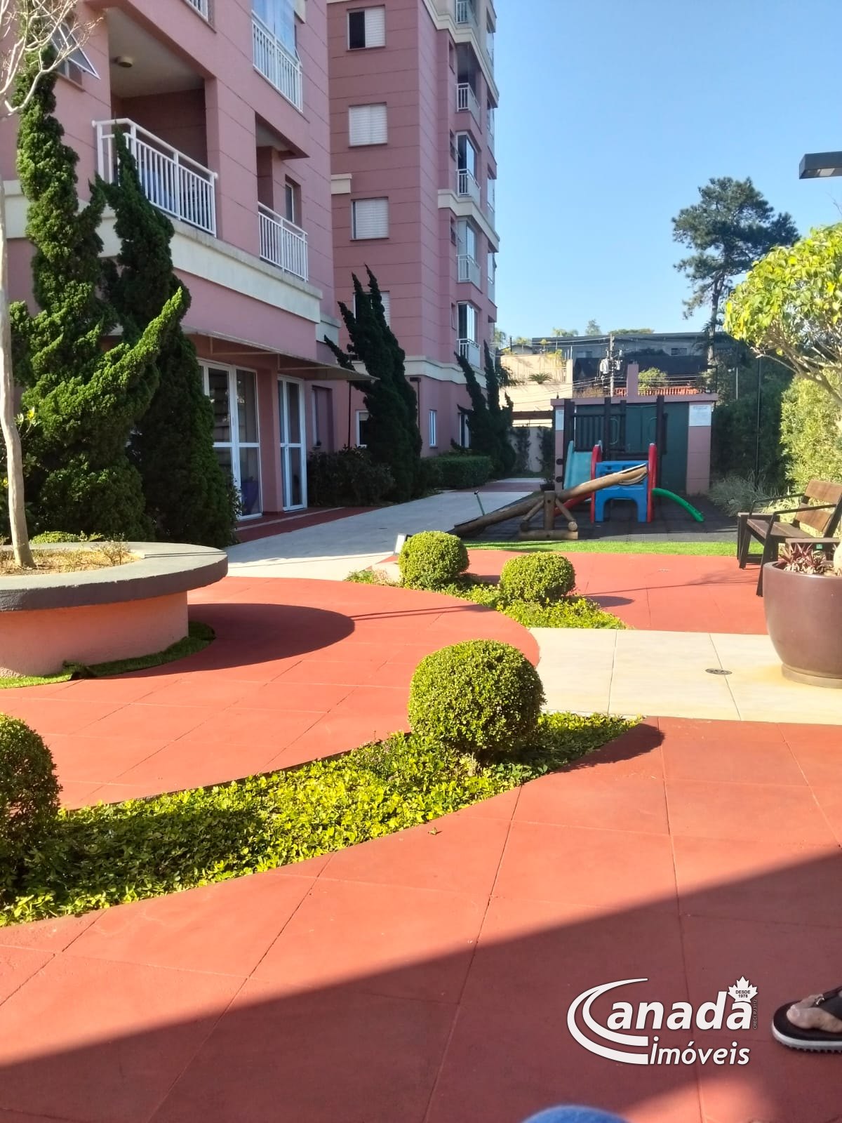 Foto 5
